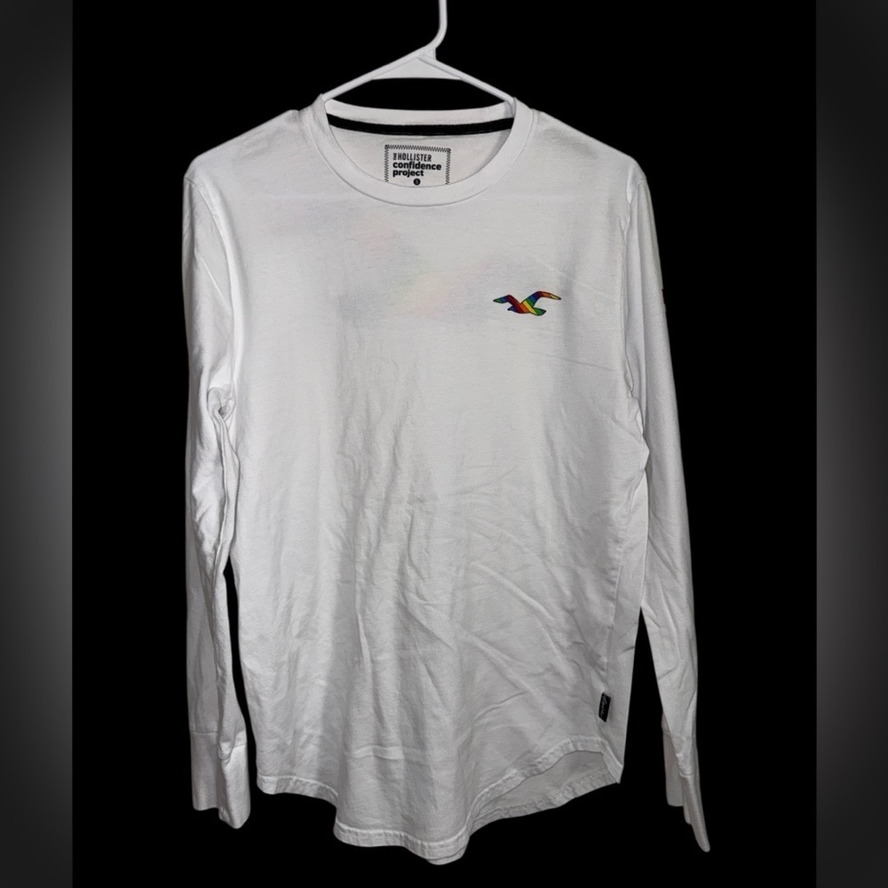 The Hollister Confidence Project Long Sleeve Rainbow Logo